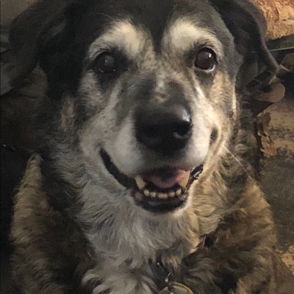 Meet your Posher, Marie - Picture 4 of 10